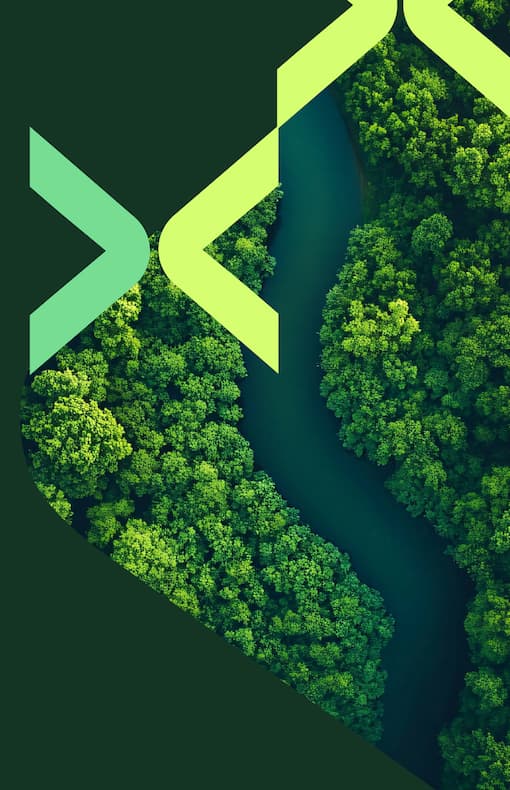 Birdseye view of a river in a forest