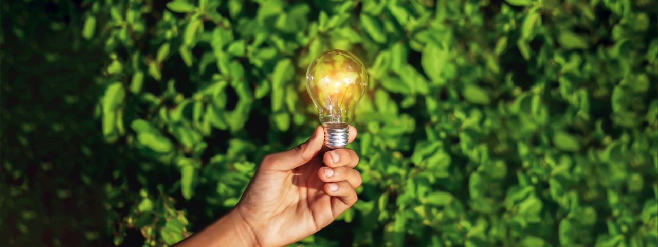 A hand holding a lightbulb