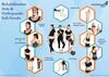 Rehabilition aids and orthopedic soft goods 